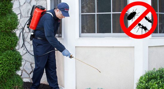 Güzelbahçe Bit İlaçlama böcek ilaçlama ve haşere kontrolü — ilaclama-tr.com